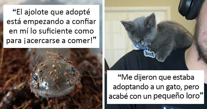 50 Fotos de mascotas adoptadas este mes de Noviembre que te harán sonreír