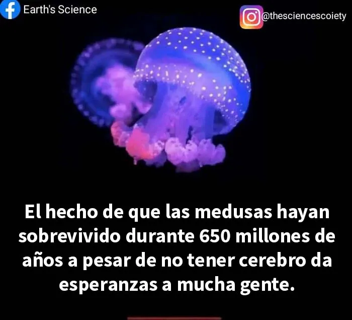 "Humor científico": 20 Divertidas publicaciones para entretener a tu friki interior