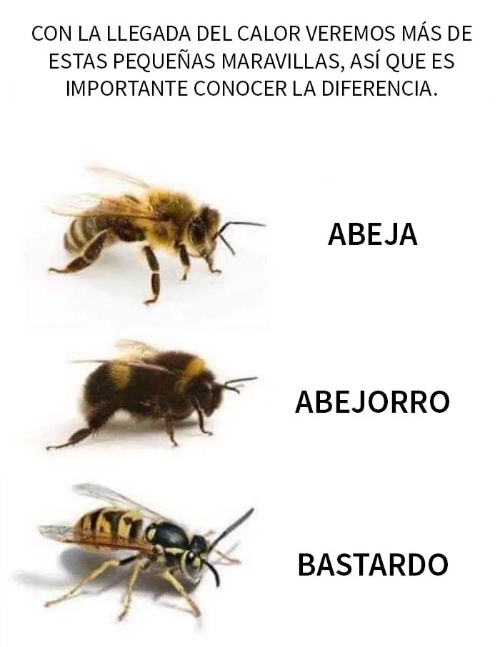 "Humor científico": 20 Divertidas publicaciones para entretener a tu friki interior
