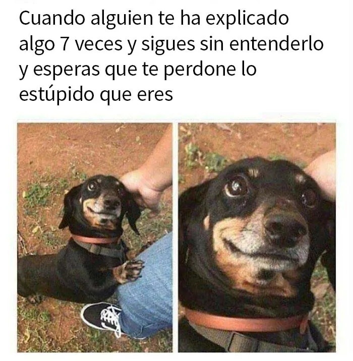 "Humor científico": 20 Divertidas publicaciones para entretener a tu friki interior