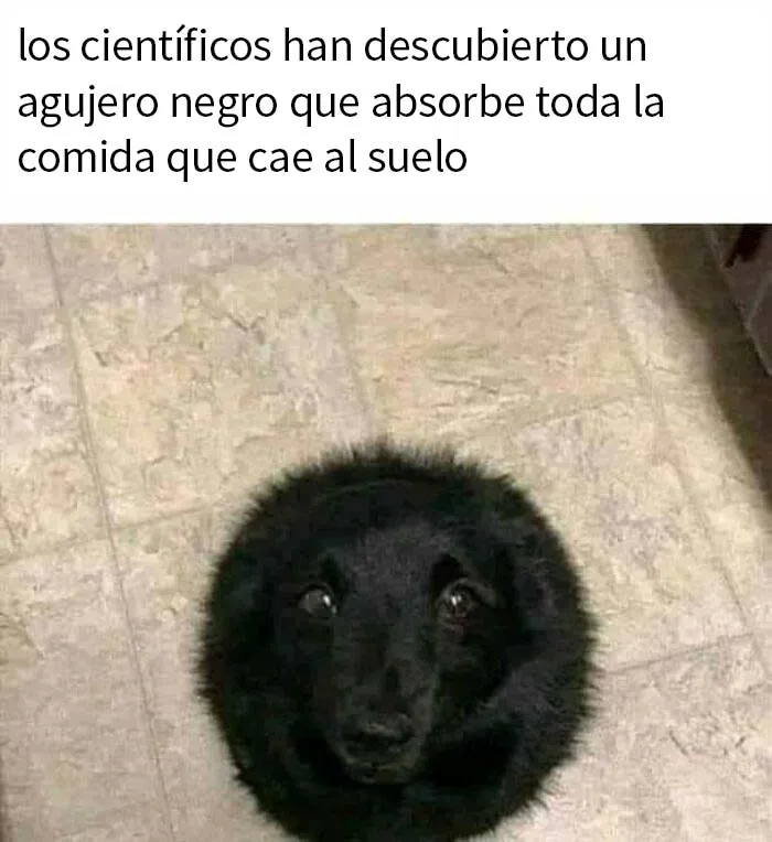 "Humor científico": 20 Divertidas publicaciones para entretener a tu friki interior