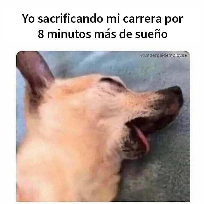 20 Divertidos memes para empleados frustrados y mal pagados