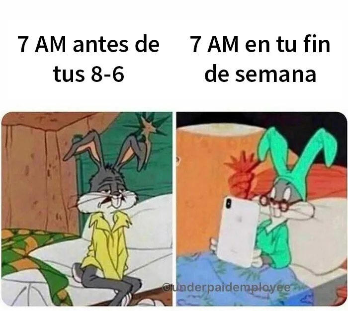 20 Divertidos memes para empleados frustrados y mal pagados