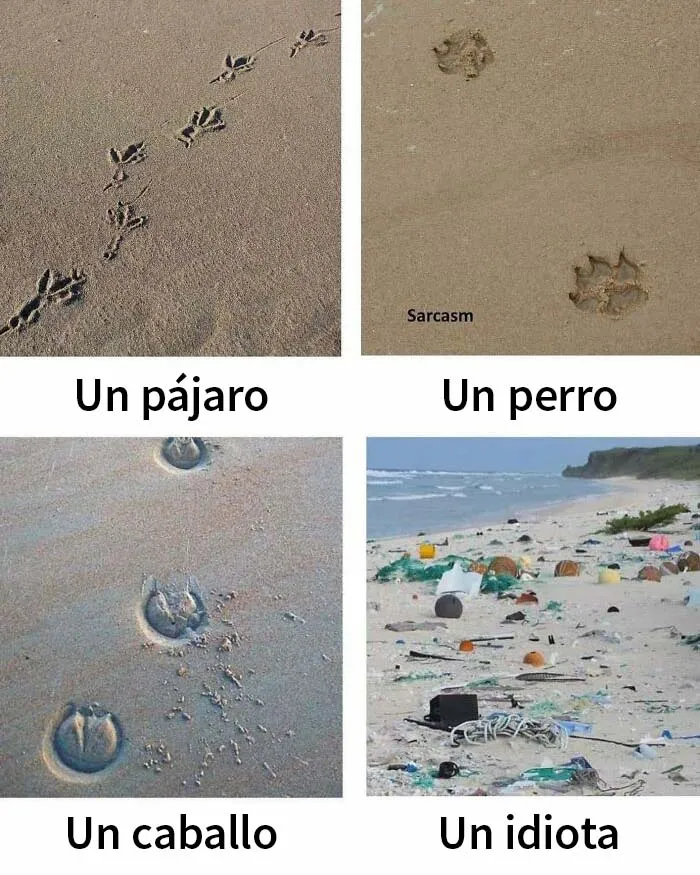 20 Memes divertidísimos que son "solo sarcasmo"