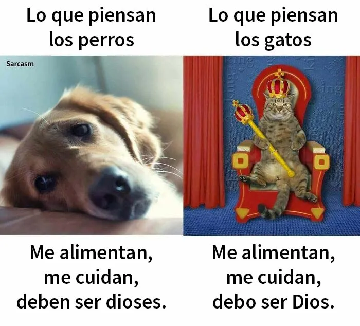 20 Memes divertidísimos que son "solo sarcasmo"