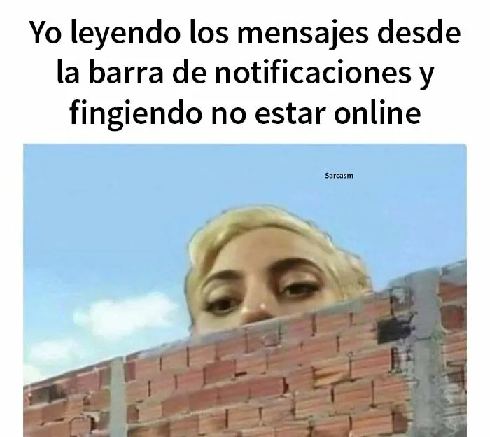 20 Memes divertidísimos que son "solo sarcasmo"