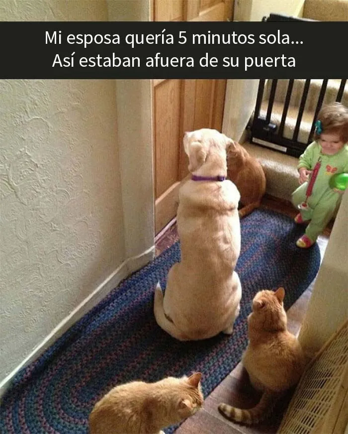 20 'Memes de humor parental' que resumen a la perfección lo que es tener hijos