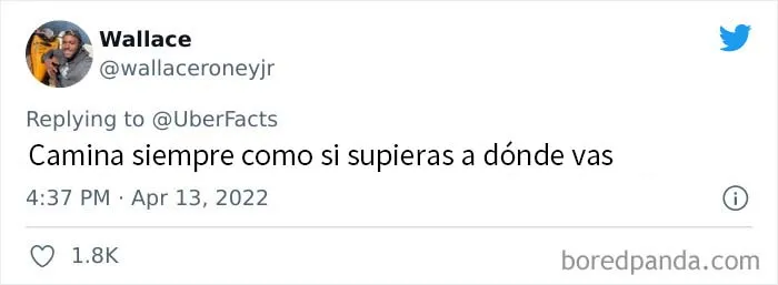 20 Consejos útiles de personas que tienen pericia en la calle