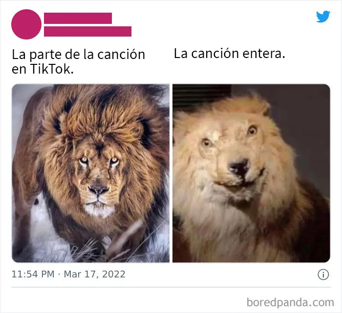 20 Publicaciones que muestran lo peor y lo mejor de Twitter