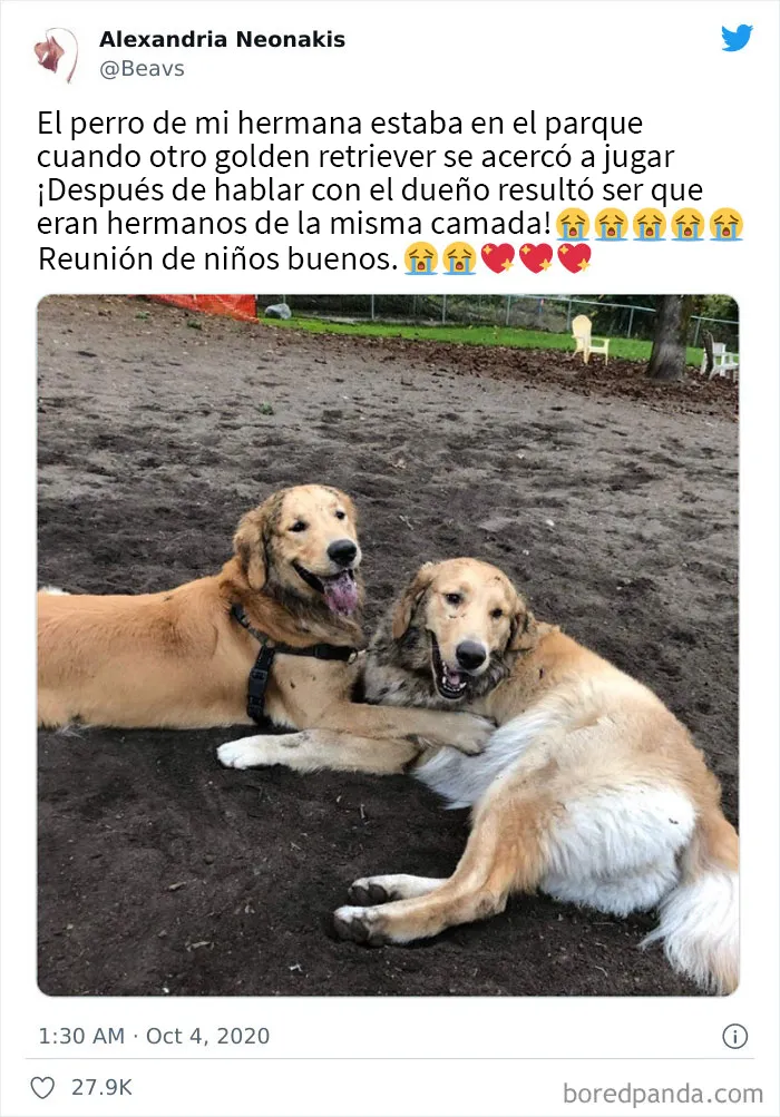 20 Publicaciones que muestran lo peor y lo mejor de Twitter