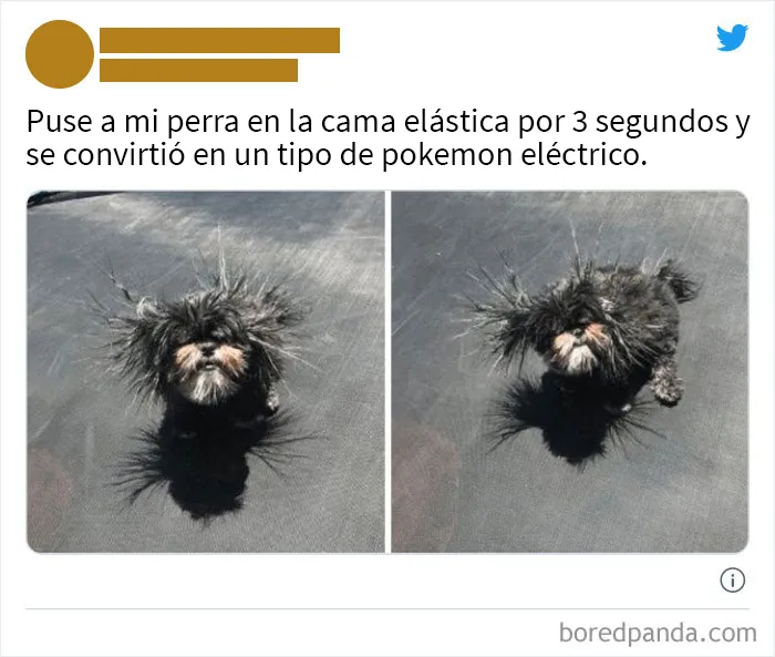 20 Publicaciones que muestran lo peor y lo mejor de Twitter