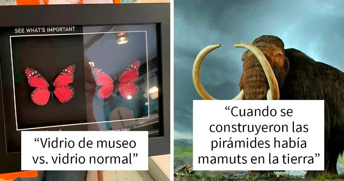 20 Datos tan fascinantes como desconocidos compartidos en esta "enciclopedia" de Instagram