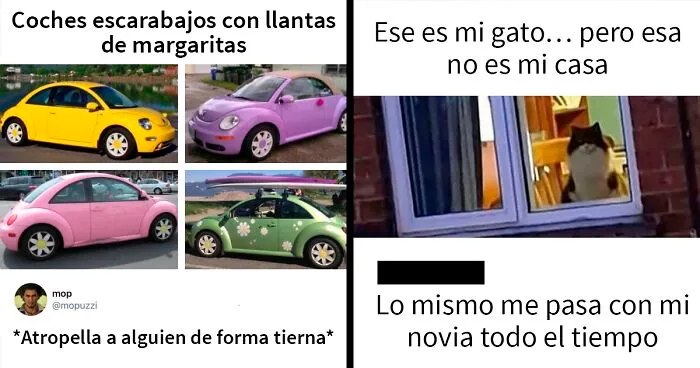 18 “Comentarios malditos” tan ridículos que dan risa (nuevas imágenes)