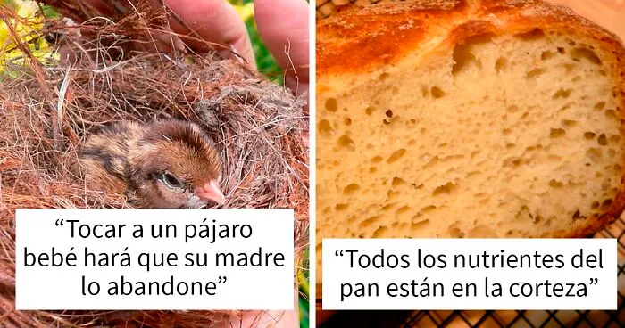 25 Datos falsos que la gente descubrió demasiado tarde