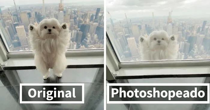 30 Ganadores de grandes batallas de Photoshop que hicieron de Internet un lugar más divertido (nuevas fotos)