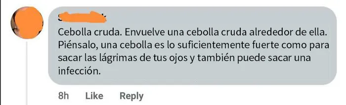 Una mujer sugiere poner una cebolla en el oído de un niño porque "sacará" la infección, ¡igual que las lágrimas!