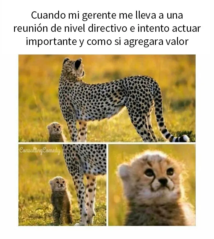 "Humor corporativo": 20 memes sobre la vida en la oficina que son demasiado familiares