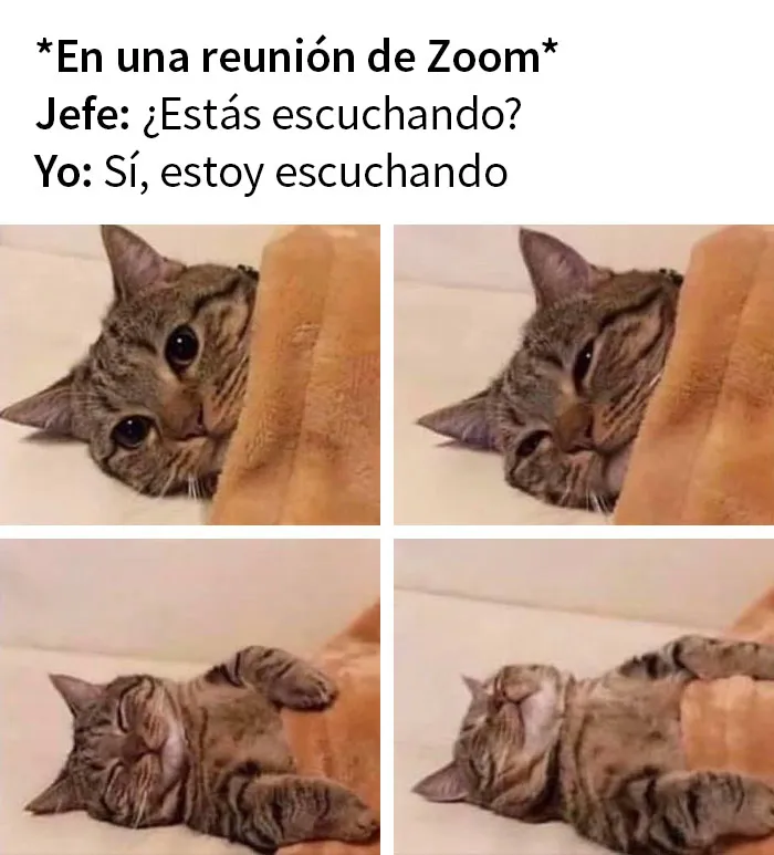 "Humor corporativo": 20 memes sobre la vida en la oficina que son demasiado familiares