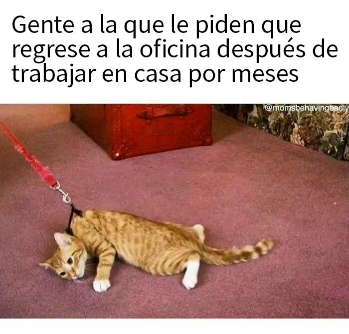 "Humor corporativo": 20 memes sobre la vida en la oficina que son demasiado familiares