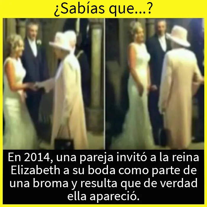 20 Datos tan fascinantes como desconocidos compartidos en esta "enciclopedia" de Instagram