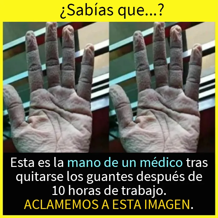 20 Datos tan fascinantes como desconocidos compartidos en esta "enciclopedia" de Instagram