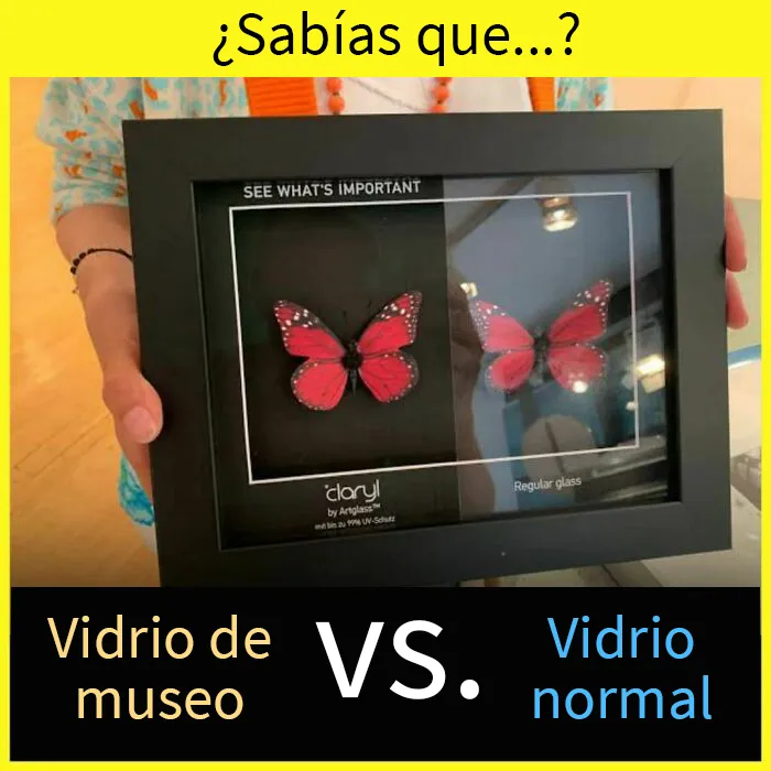 20 Datos tan fascinantes como desconocidos compartidos en esta "enciclopedia" de Instagram