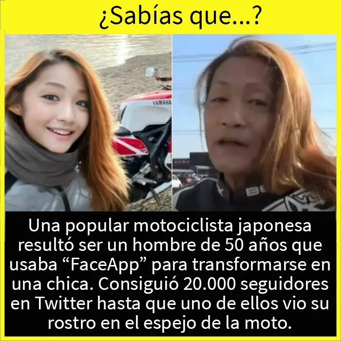 20 Datos tan fascinantes como desconocidos compartidos en esta "enciclopedia" de Instagram