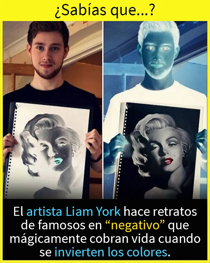 20 Datos tan fascinantes como desconocidos compartidos en esta "enciclopedia" de Instagram