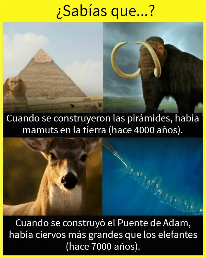20 Datos tan fascinantes como desconocidos compartidos en esta "enciclopedia" de Instagram