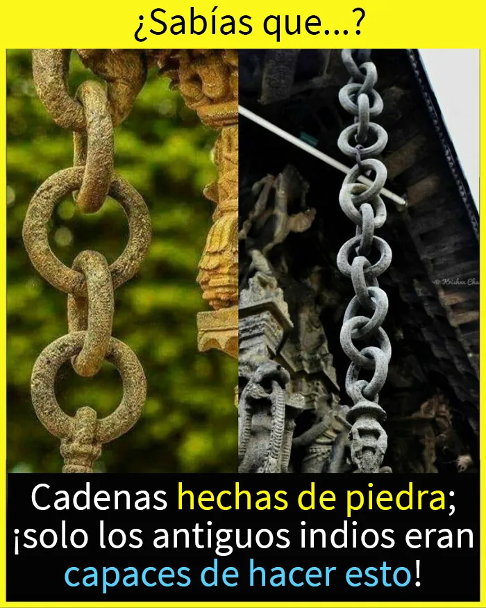 20 Datos tan fascinantes como desconocidos compartidos en esta "enciclopedia" de Instagram