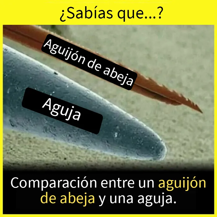 20 Datos tan fascinantes como desconocidos compartidos en esta "enciclopedia" de Instagram