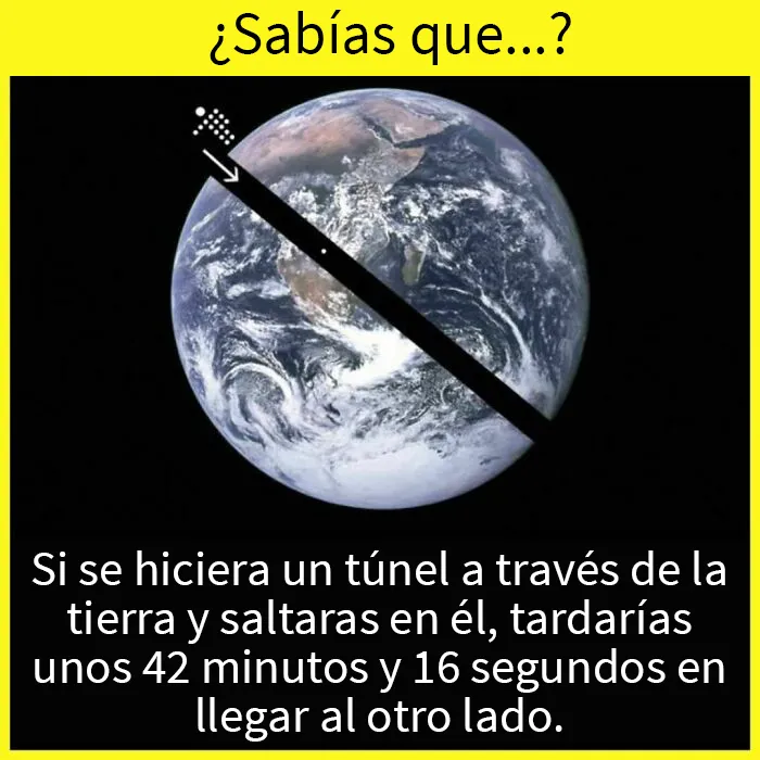 20 Datos tan fascinantes como desconocidos compartidos en esta "enciclopedia" de Instagram