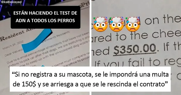 Estos caseros exigen a sus inquilinos que hagan una prueba de ADN a sus perros para averiguar quién no recoge las cacas