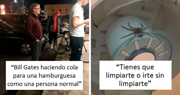 "Esta es mi vida ahora": 45 Divertidas fotos de personas y animales aceptando situaciones poco comunes