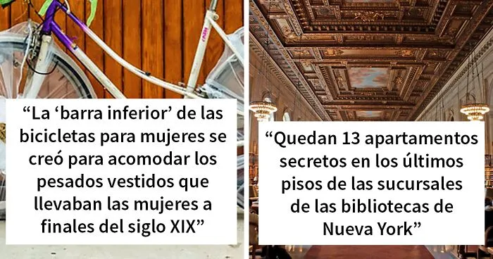 «Hoy aprendí»: 35 nuevos datos que demuestran que nunca es demasiado tarde para aprender algo nuevo