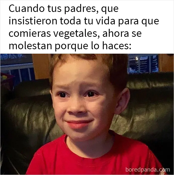 20 Memes muy divertidos publicados en la cuenta de Instagram "Sarcasmo vegano"