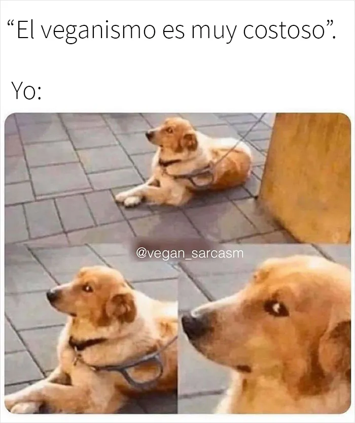 20 Memes muy divertidos publicados en la cuenta de Instagram "Sarcasmo vegano"