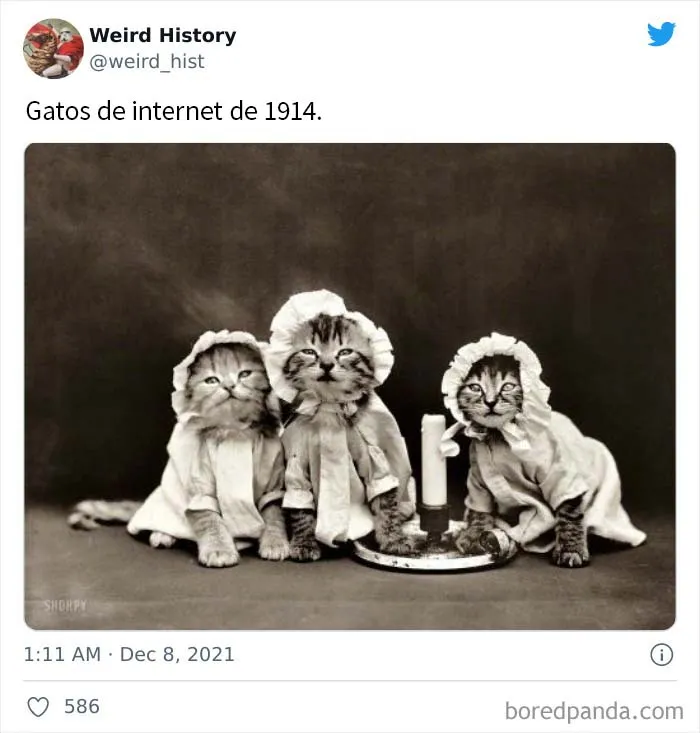 La cuenta de ‘Weird History’ comparte cosas interesantes, divertidas y extrañas que han ocurrido en la Historia (20 nuevas imágenes)