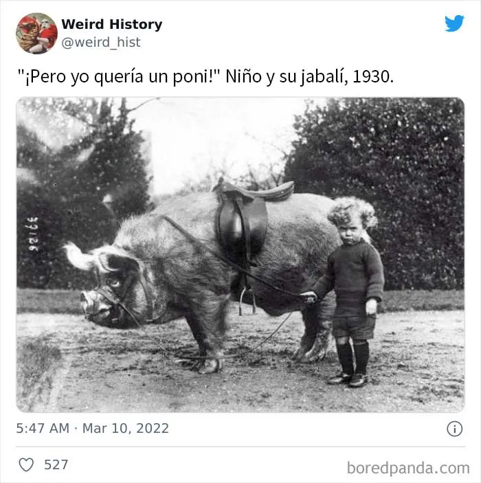 La cuenta de ‘Weird History’ comparte cosas interesantes, divertidas y extrañas que han ocurrido en la Historia (20 nuevas imágenes)