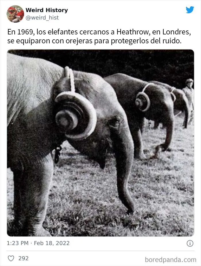 La cuenta de ‘Weird History’ comparte cosas interesantes, divertidas y extrañas que han ocurrido en la Historia (20 nuevas imágenes)