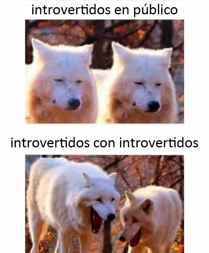20 Divertidos "memes antisociales" con los que los introvertidos se sentirán identificadas