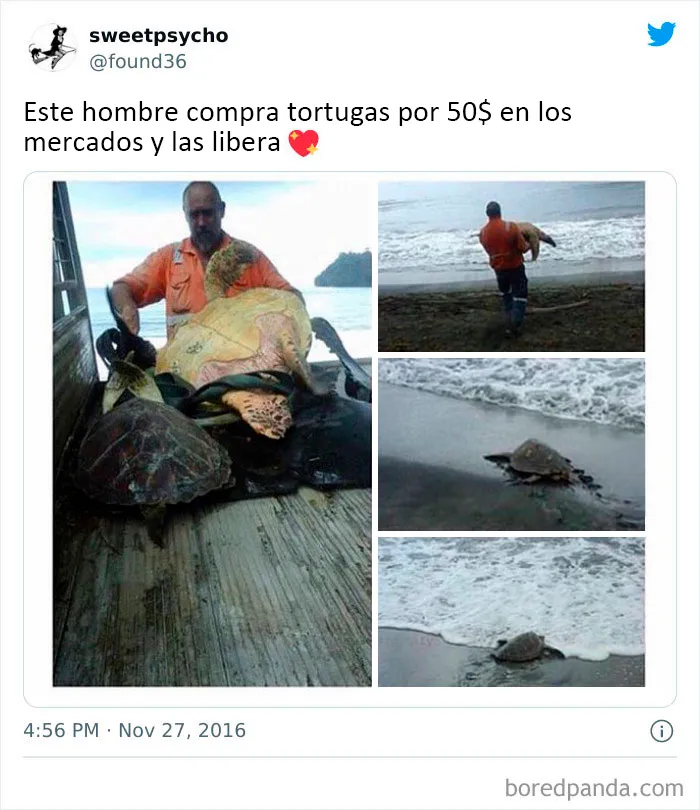 20 Publicaciones conmovedoras de la cuenta más reconfortante en internet para levantarte el ánimo