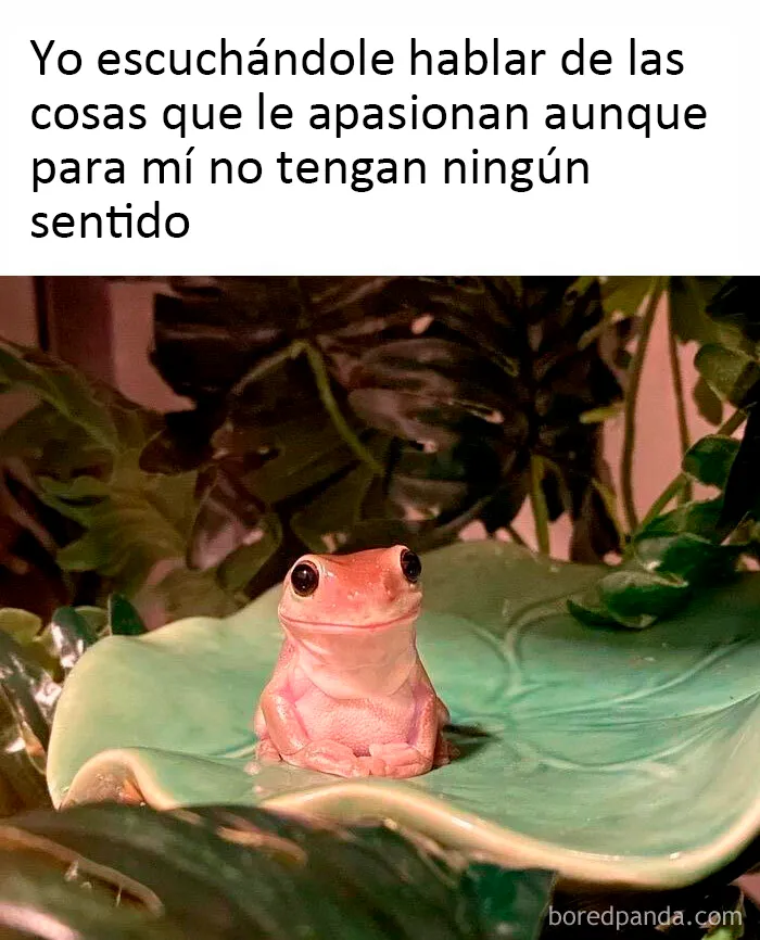 20 Divertidos memes que resumen a la perfección las relaciones de pareja