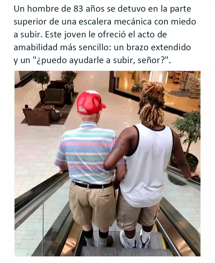 20 Publicaciones conmovedoras de la cuenta más reconfortante en internet para levantarte el ánimo