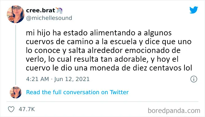 20 Publicaciones conmovedoras de la cuenta más reconfortante en internet para levantarte el ánimo