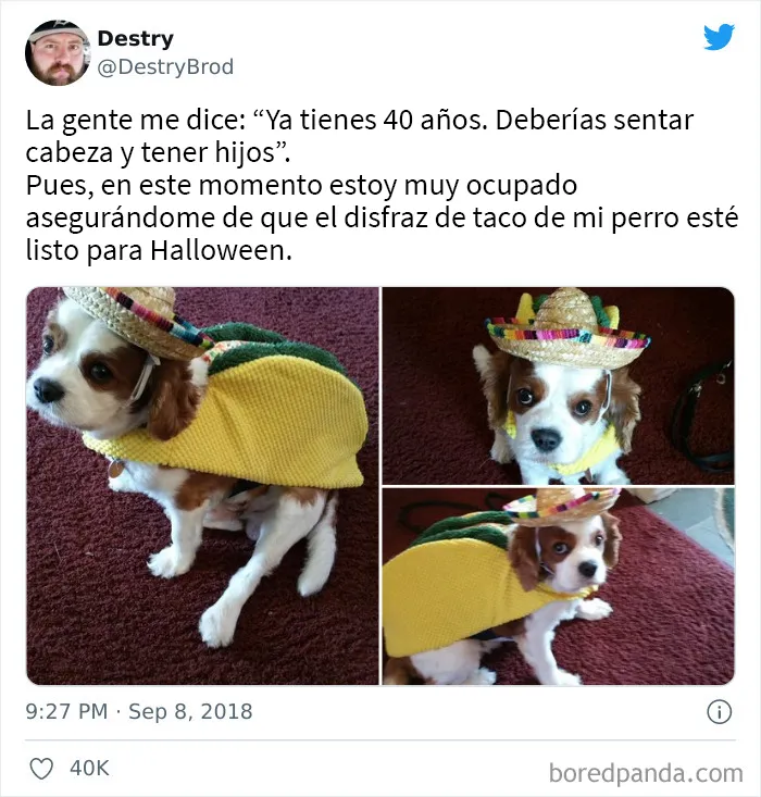 “Humor para gente sin hijos”: 20 chistes y memes de personas que no se arrepienten de su vida sin hijos