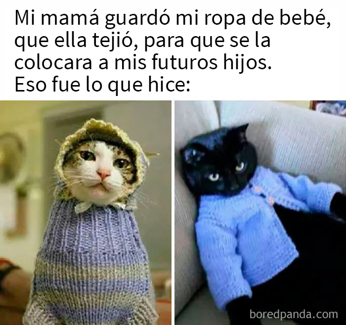 “Humor para gente sin hijos”: 20 chistes y memes de personas que no se arrepienten de su vida sin hijos