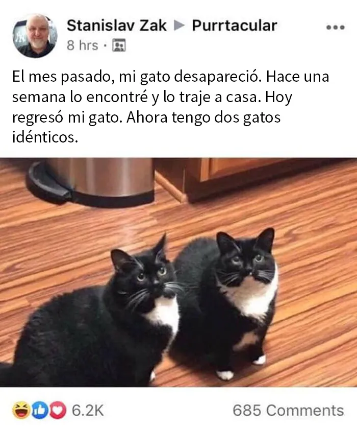 20 Memes reconfortantes que nos recuerdan que el mundo no es del todo malo
