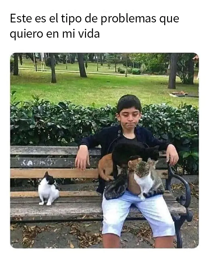 20 Memes reconfortantes que nos recuerdan que el mundo no es del todo malo