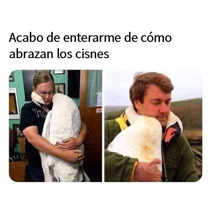 20 Memes reconfortantes que nos recuerdan que el mundo no es del todo malo